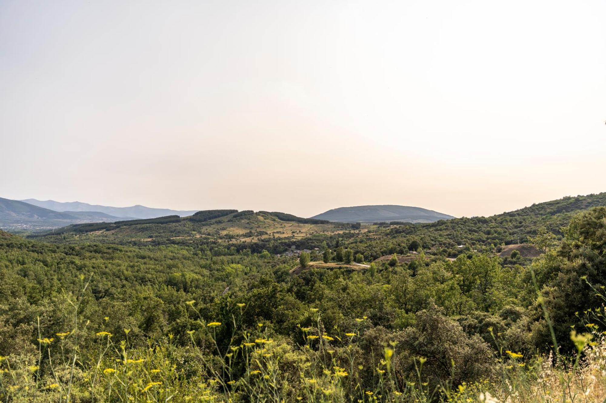 Casa De Turismo Rural Sardom2 Bembibre Kültér fotó